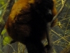 p1020028